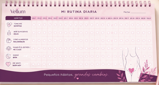 Calendario de Seguimiento